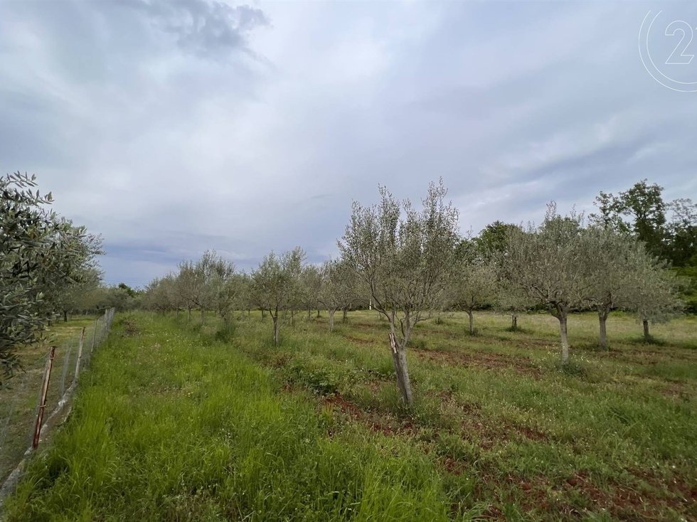Prodej stavební parcely 1720 m²