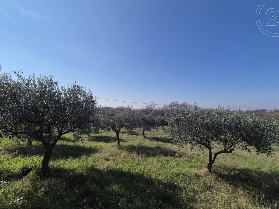 Prodej stavební parcely 1697 m²