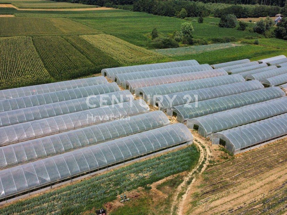 Prodej ostatních pozemků 40000 m²