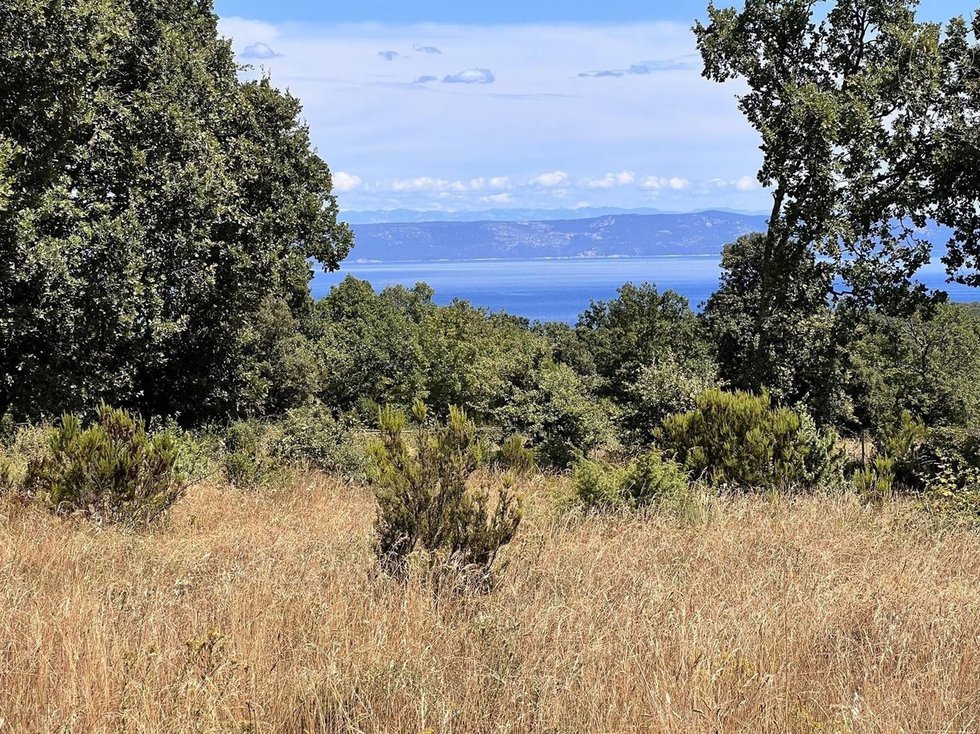 Prodej stavební parcely 1000 m²