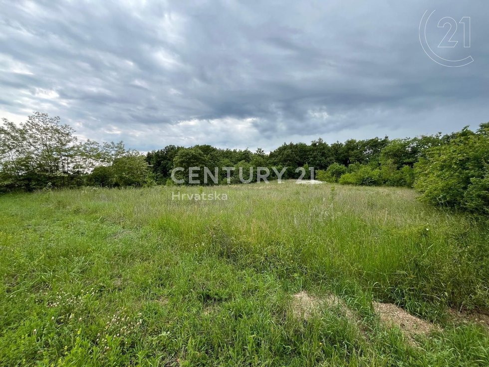 Prodej komerčního pozemku 352 m²