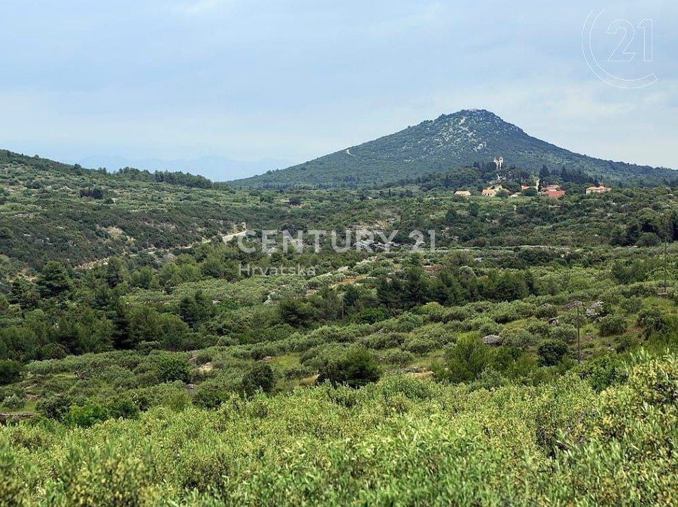 Prodej ostatních pozemků 38000 m²