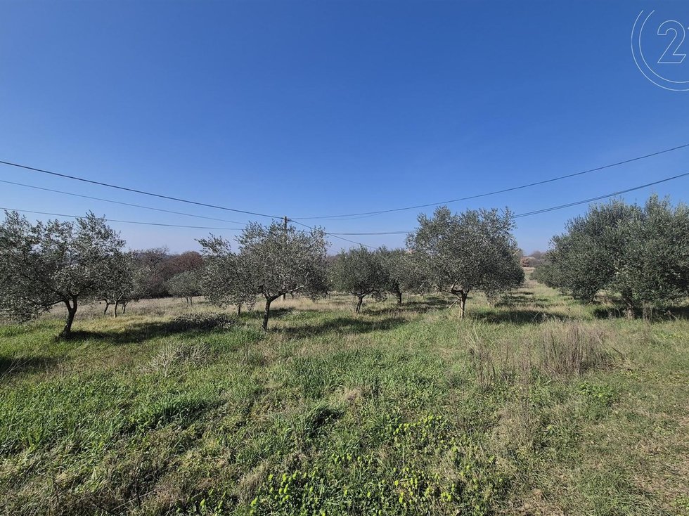 Prodej stavební parcely 2585 m²