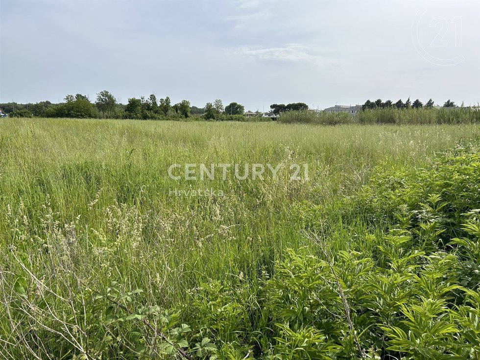 Prodej ostatních pozemků 6830 m²