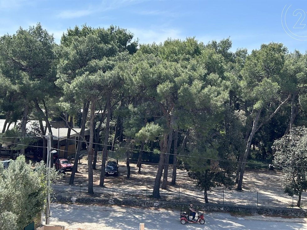 Prodej bytu 2+1 146 m²