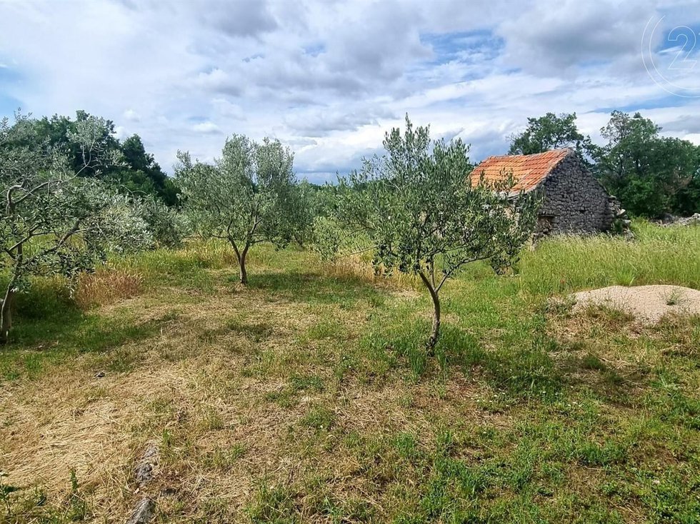 Prodej stavební parcely 10000 m²