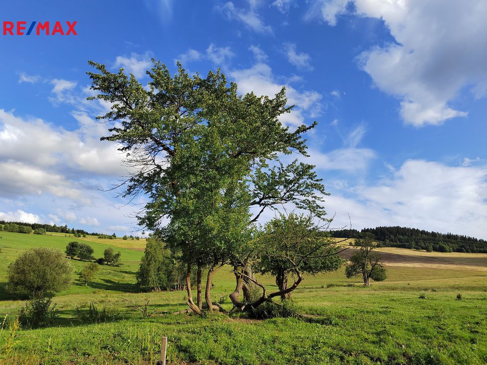 Prodej stavební parcely 1039 m², Malá Morava