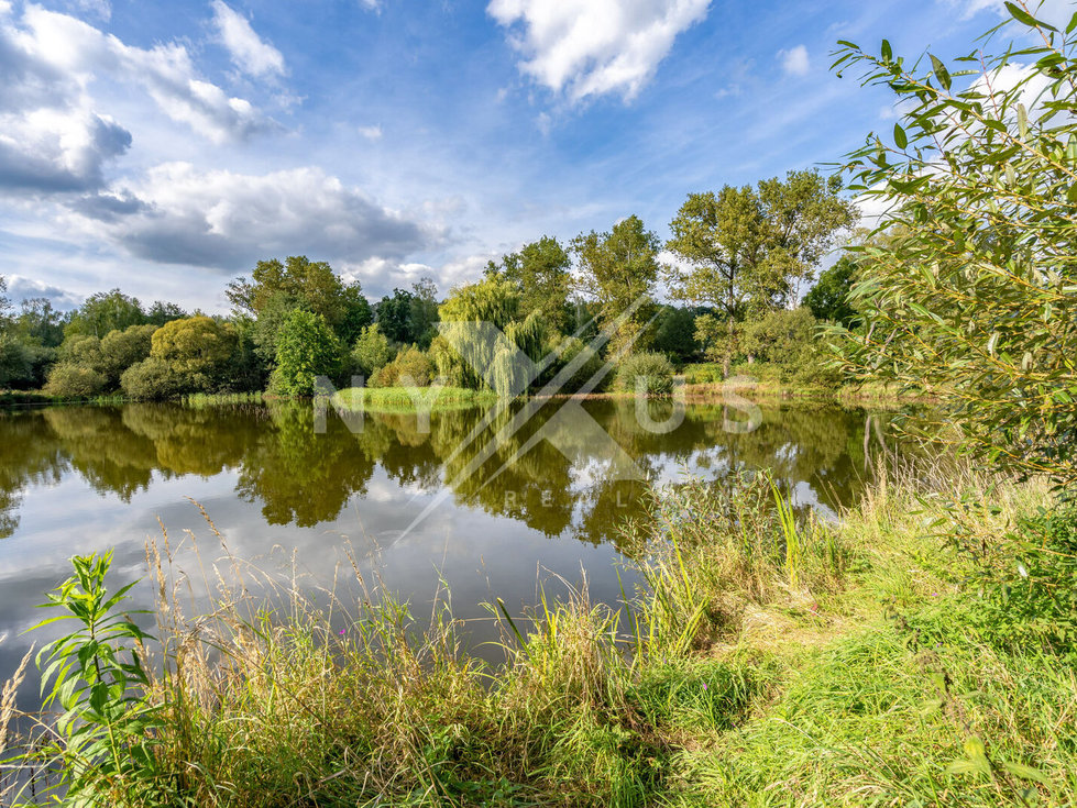 Prodej vodní plochy 6830 m², Řehenice