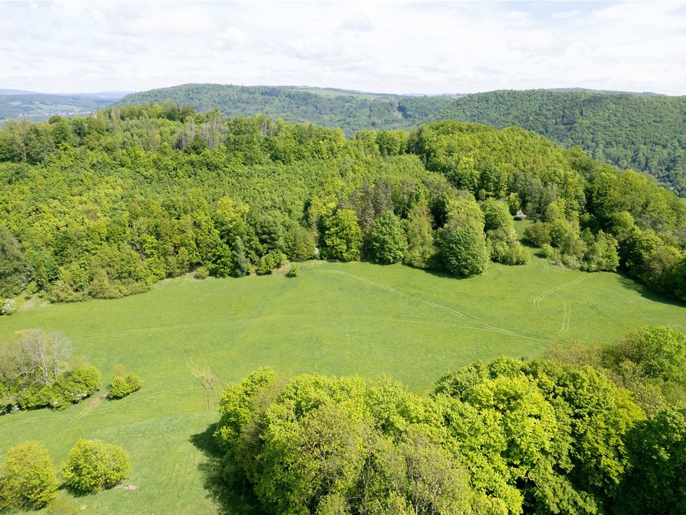 Prodej louky 22595 m², Děčín