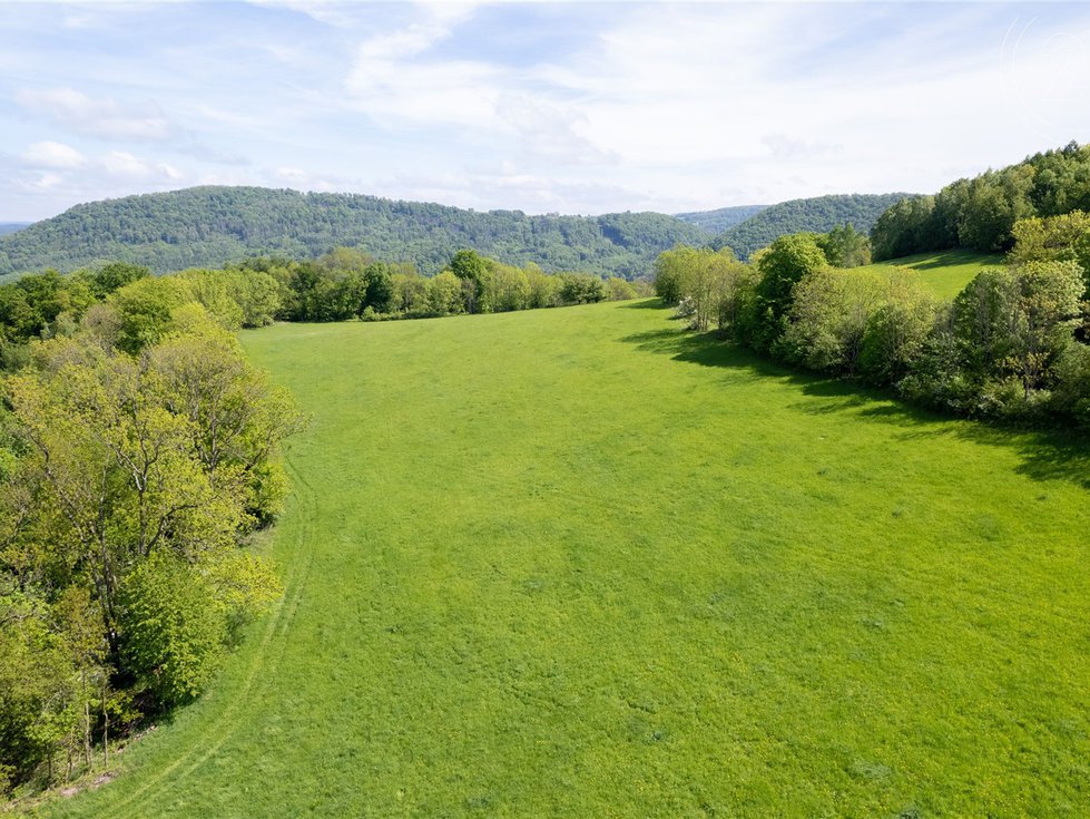 Prodej louky 19126 m², Děčín