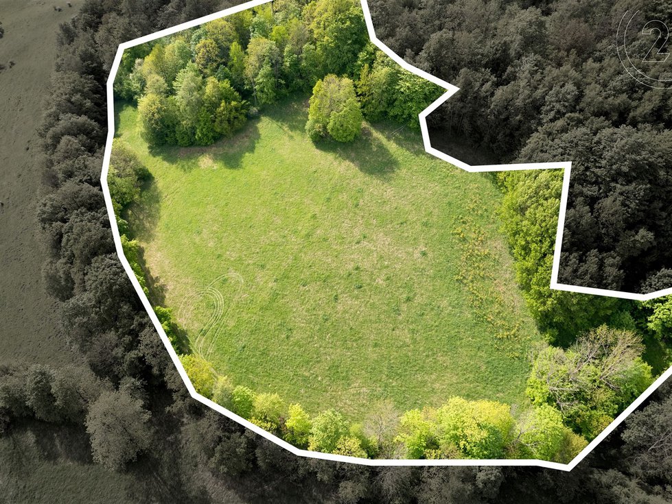 Prodej louky 27274 m², Děčín