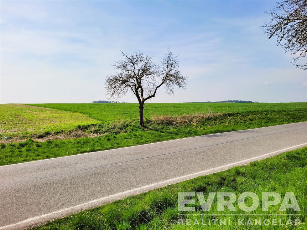 Prodej zemědělské půdy 27281 m², Čistá