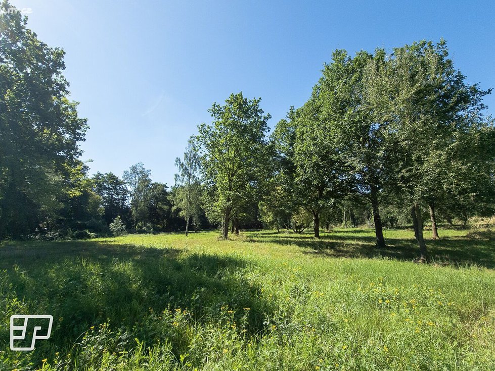 Pronájem komerčního pozemku 13072 m², Jeníkov