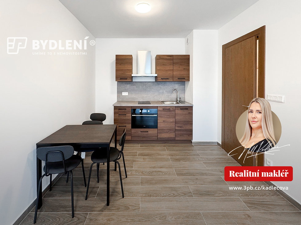 Pronájem bytu 2+kk 47 m², Teplice