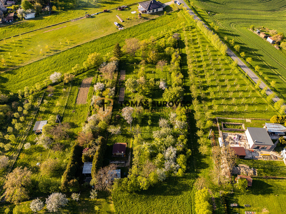 Prodej louky 626 m², Soběsuky