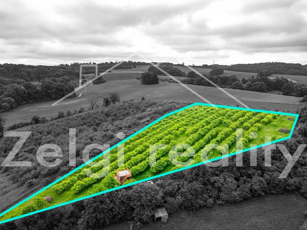 DJI_0880-HDR.jpg