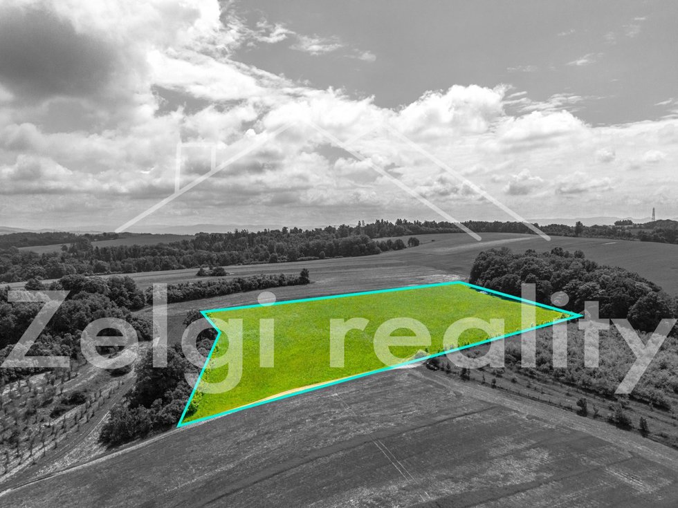 DJI_0923.jpg