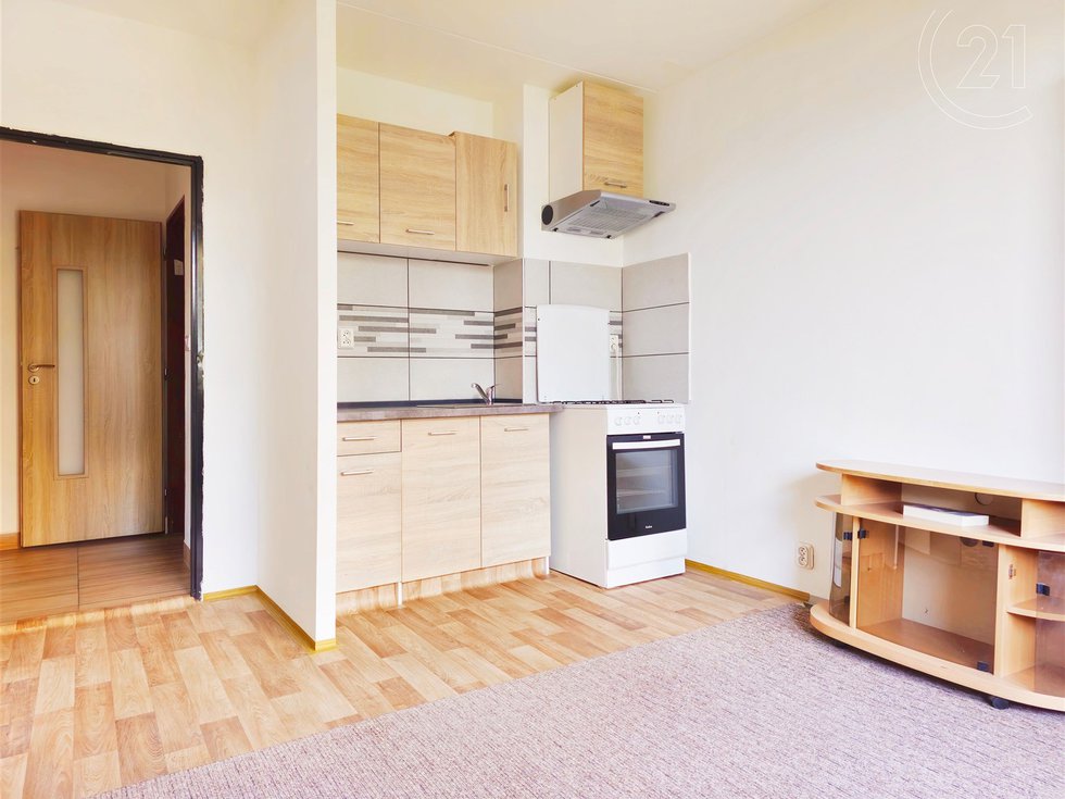 Pronájem bytu 1+1 41 m², Teplice