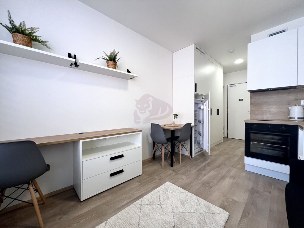 Pronájem bytu 1+kk, garsoniery 20 m², Praha