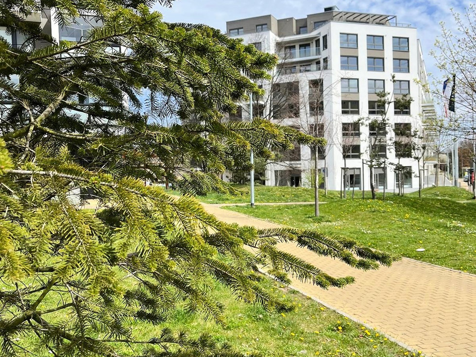 Prodej bytu 3+kk 61 m², Praha
