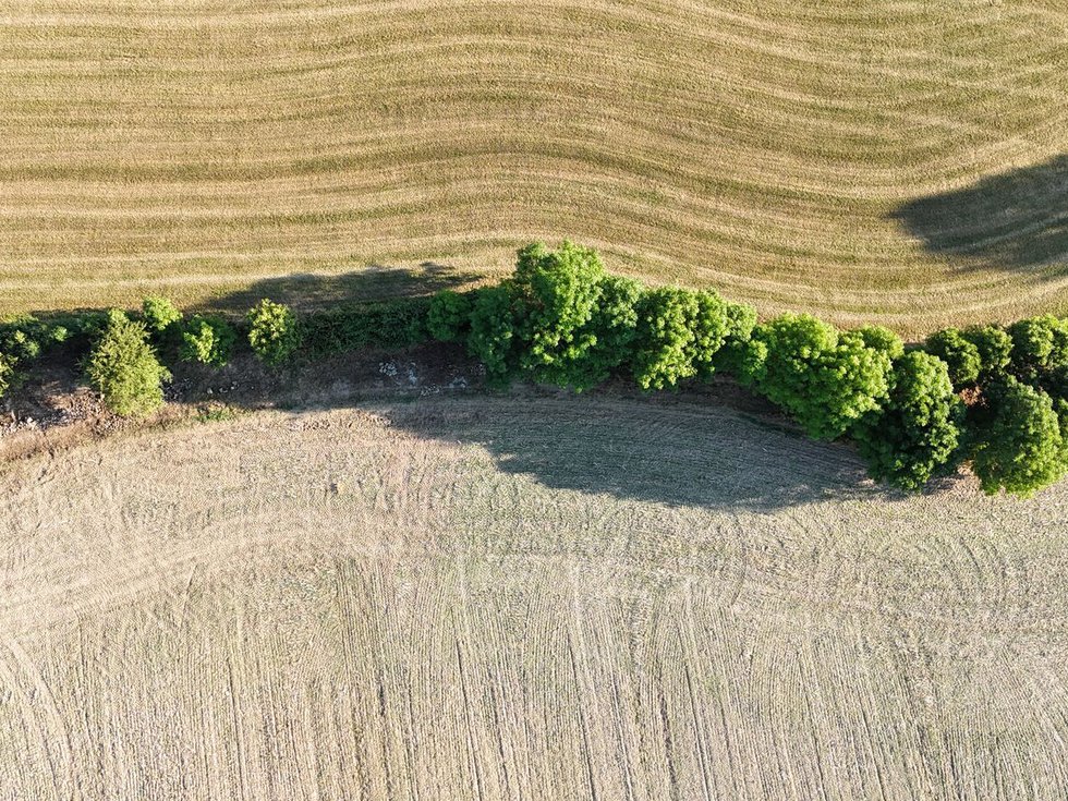 Prodej stavební parcely 1957 m², Narysov