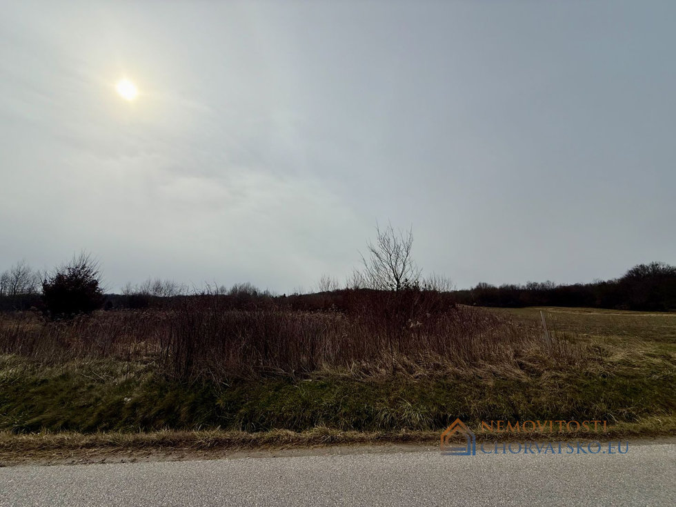 Prodej stavební parcely 2920 m²