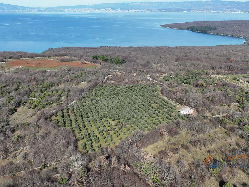 Prodej stavební parcely 24400 m²
