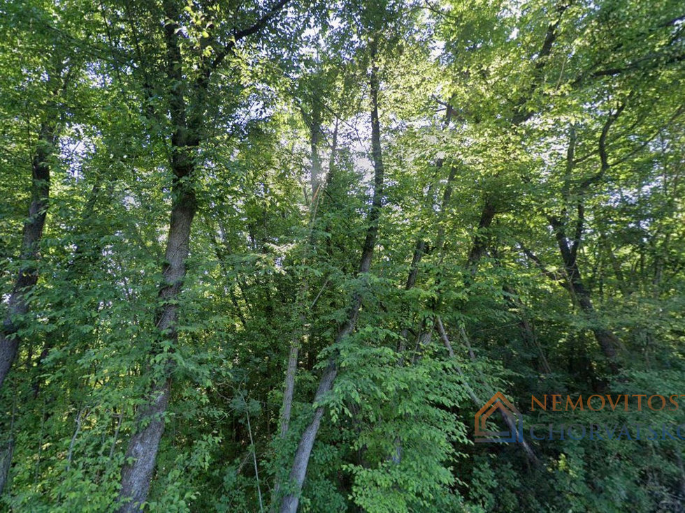 Prodej stavební parcely 8425 m²