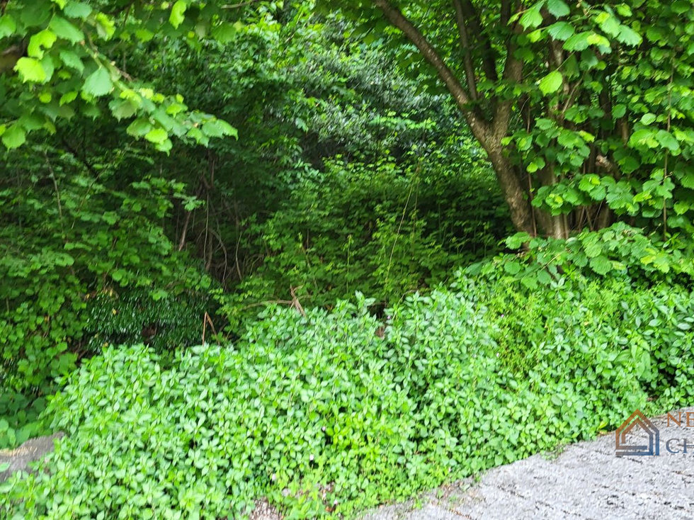 Prodej stavební parcely 5203 m²