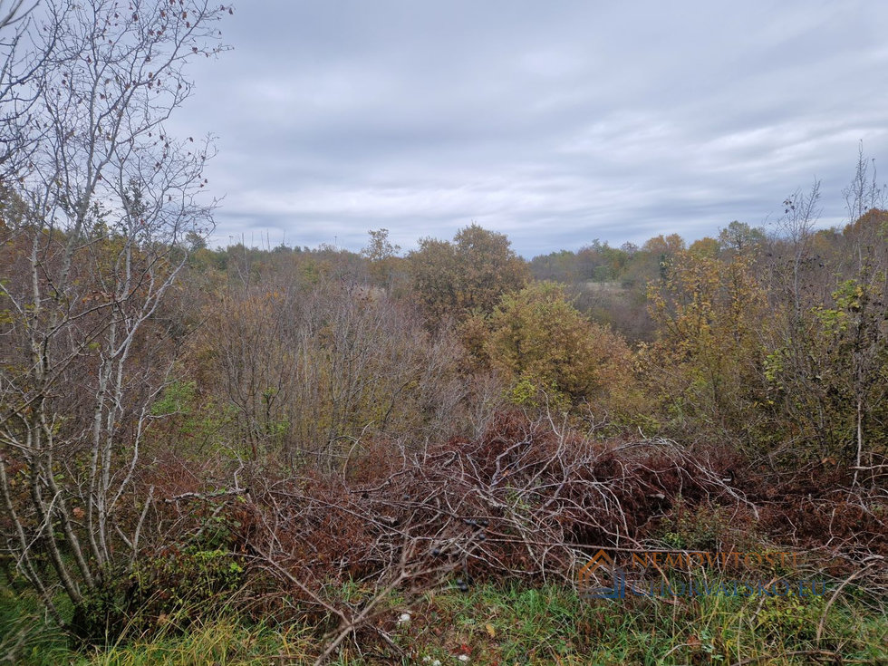 Prodej stavební parcely 4432 m²