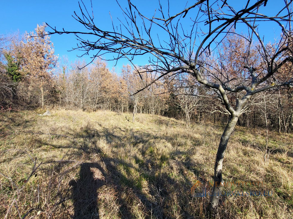 Prodej stavební parcely 5189 m²