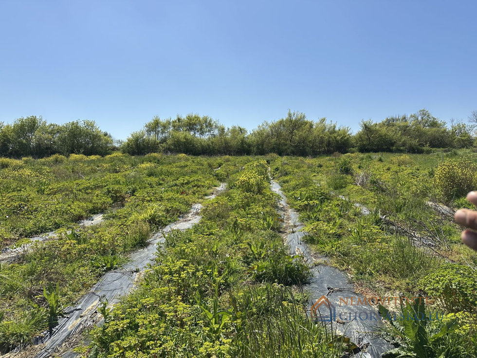 Prodej stavební parcely 3000 m²
