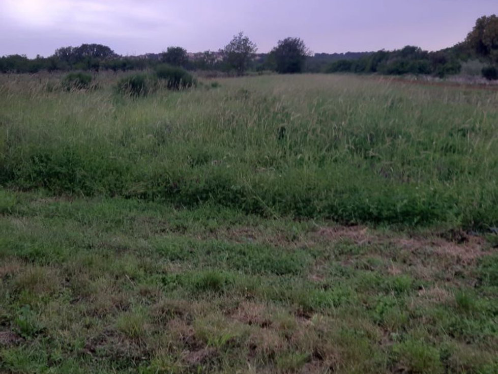 Prodej stavební parcely 1615 m²