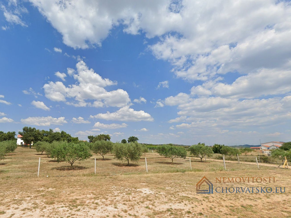 Pronájem stavební parcely 6000 m²