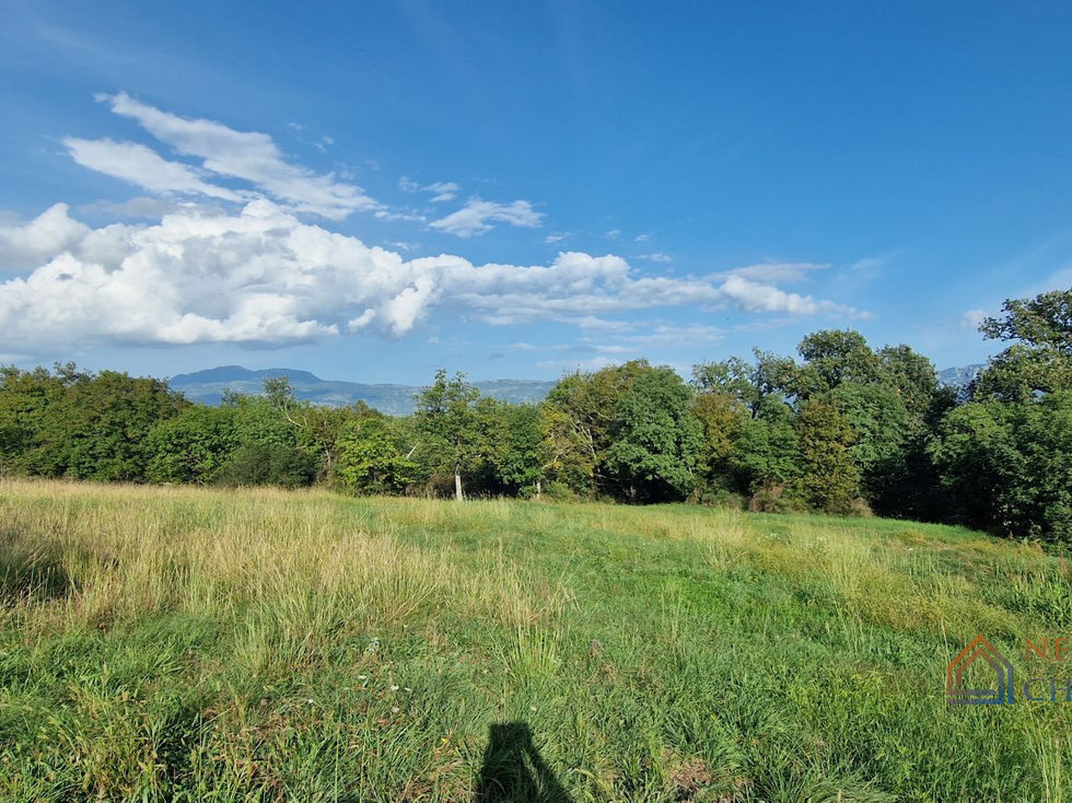 Prodej stavební parcely 4950 m²