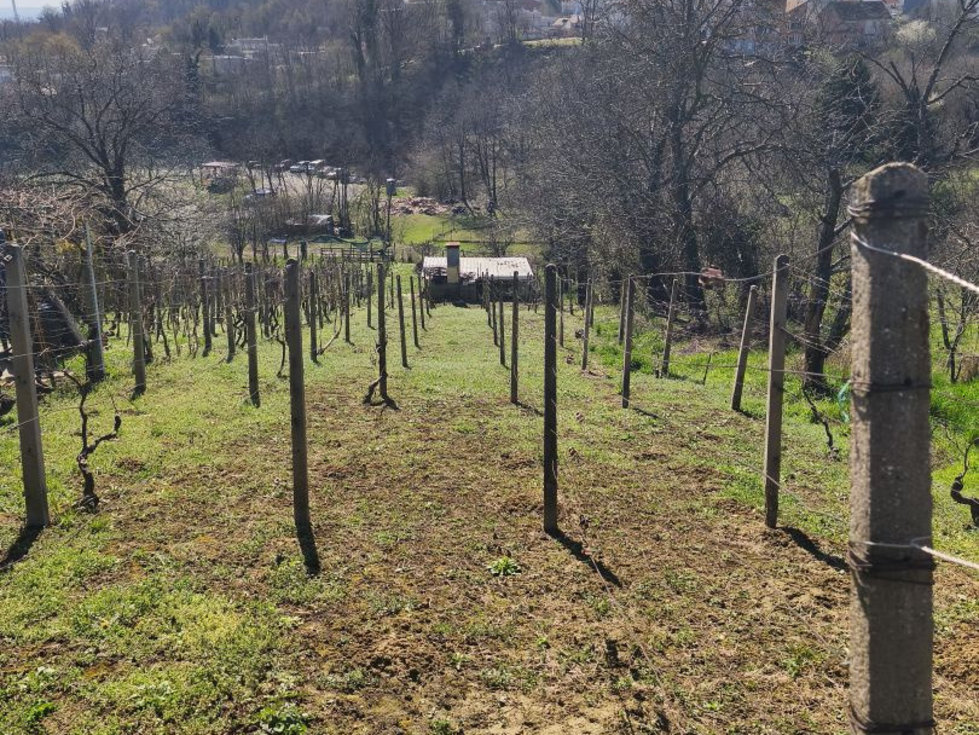 Prodej stavební parcely 668 m²