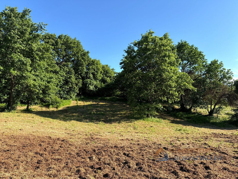 Prodej stavební parcely 1093 m²
