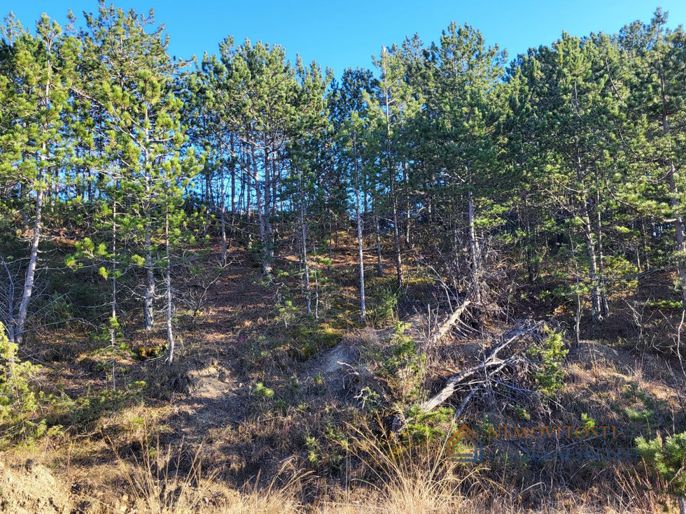 Prodej stavební parcely 1047 m²