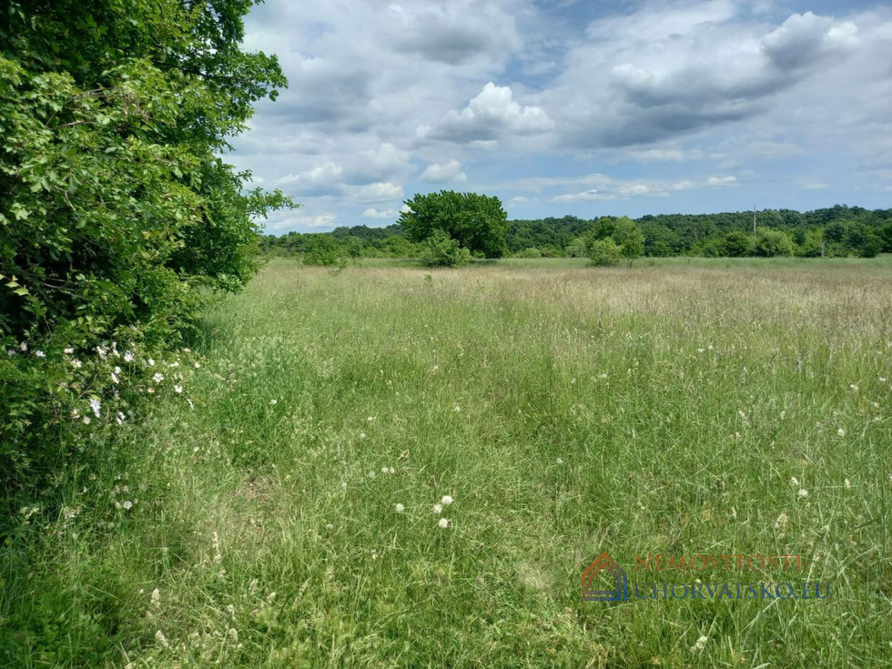 Prodej stavební parcely 32251 m²