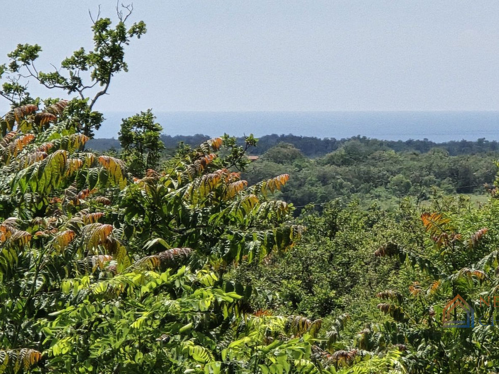 Prodej stavební parcely 5000 m²