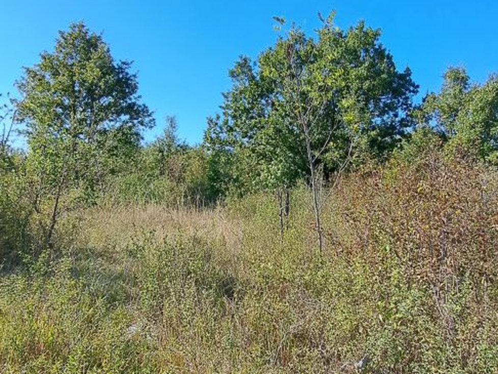 Prodej stavební parcely 27086 m²