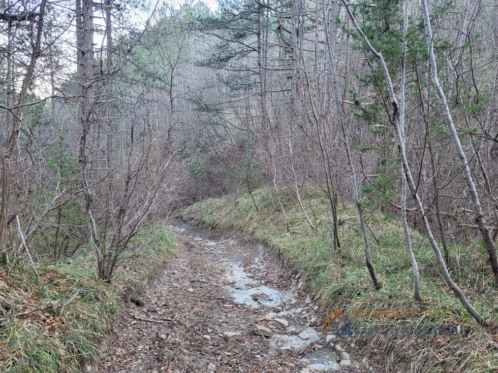 Prodej stavební parcely 5610 m²