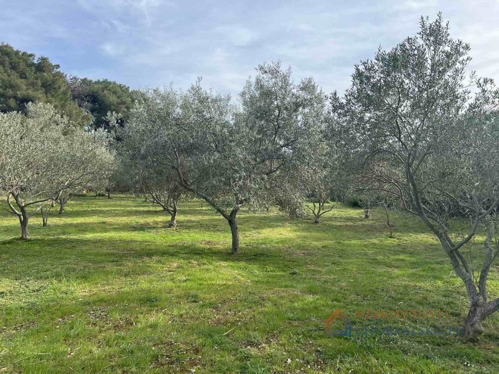 Prodej stavební parcely 4260 m²