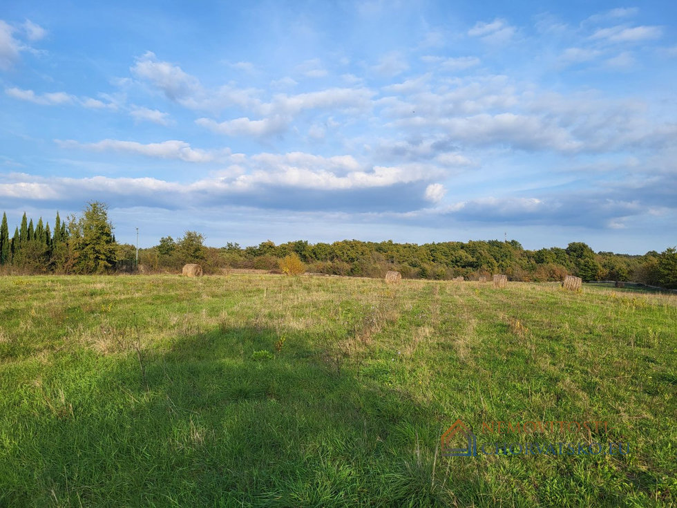 Prodej stavební parcely 26000 m²