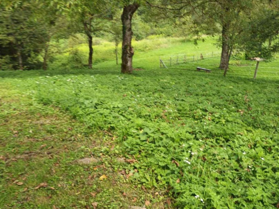 Prodej stavební parcely 906 m²