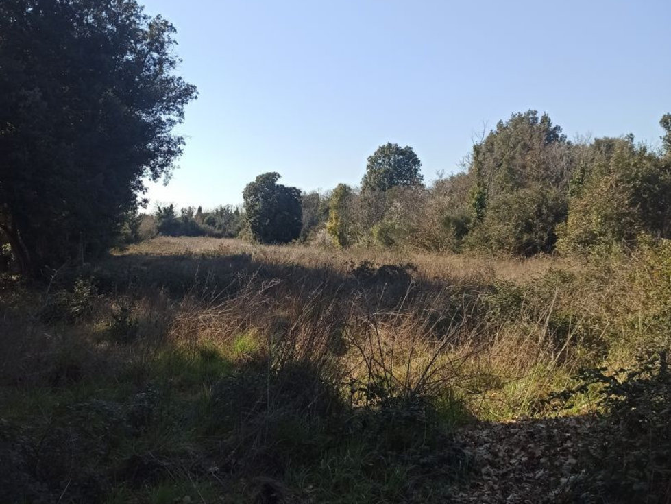 Prodej stavební parcely 2175 m²