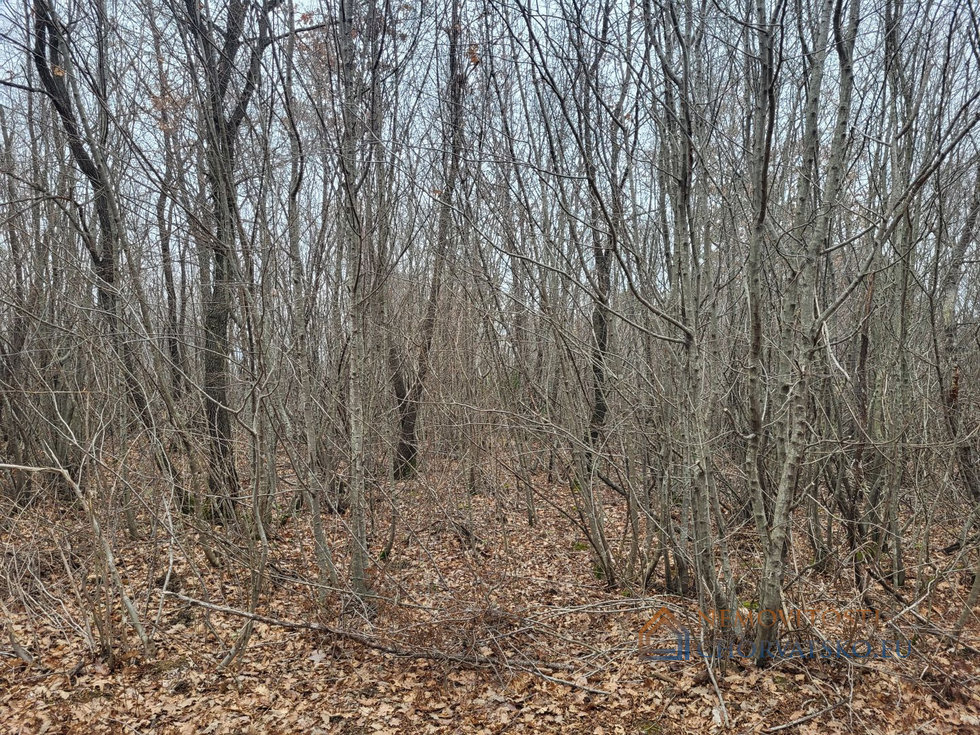 Prodej stavební parcely 13520 m²
