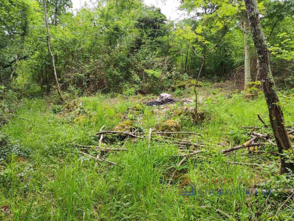 Prodej stavební parcely 2700 m²