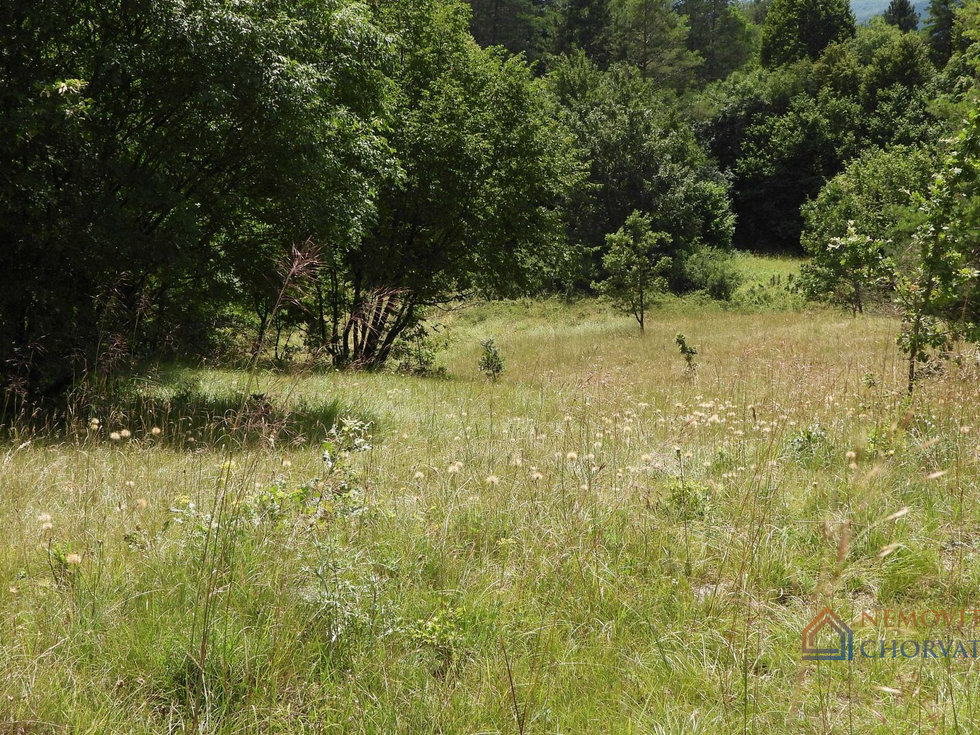 Prodej stavební parcely 5021 m²