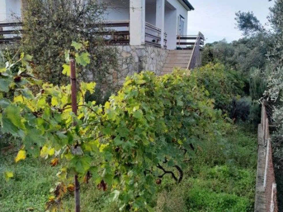 Prodej rodinného domu 109 m²